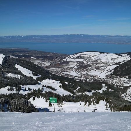 Appartement T2 A Bernex Avec Wifi, Vue Sur Montagne Eksteriør bilde