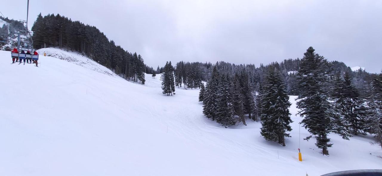 Appartement T2 A Bernex Avec Wifi, Vue Sur Montagne Eksteriør bilde