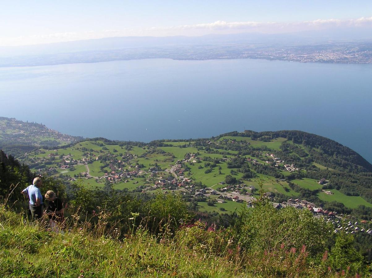 Appartement T2 A Bernex Avec Wifi, Vue Sur Montagne Eksteriør bilde